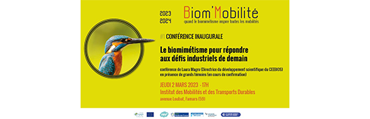 Le biomimétisme pour répondre aux défis industriels de demain
