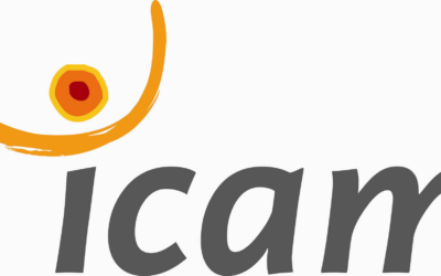 Icam – Formations Lean et Excellence Opérationnelle 5.0