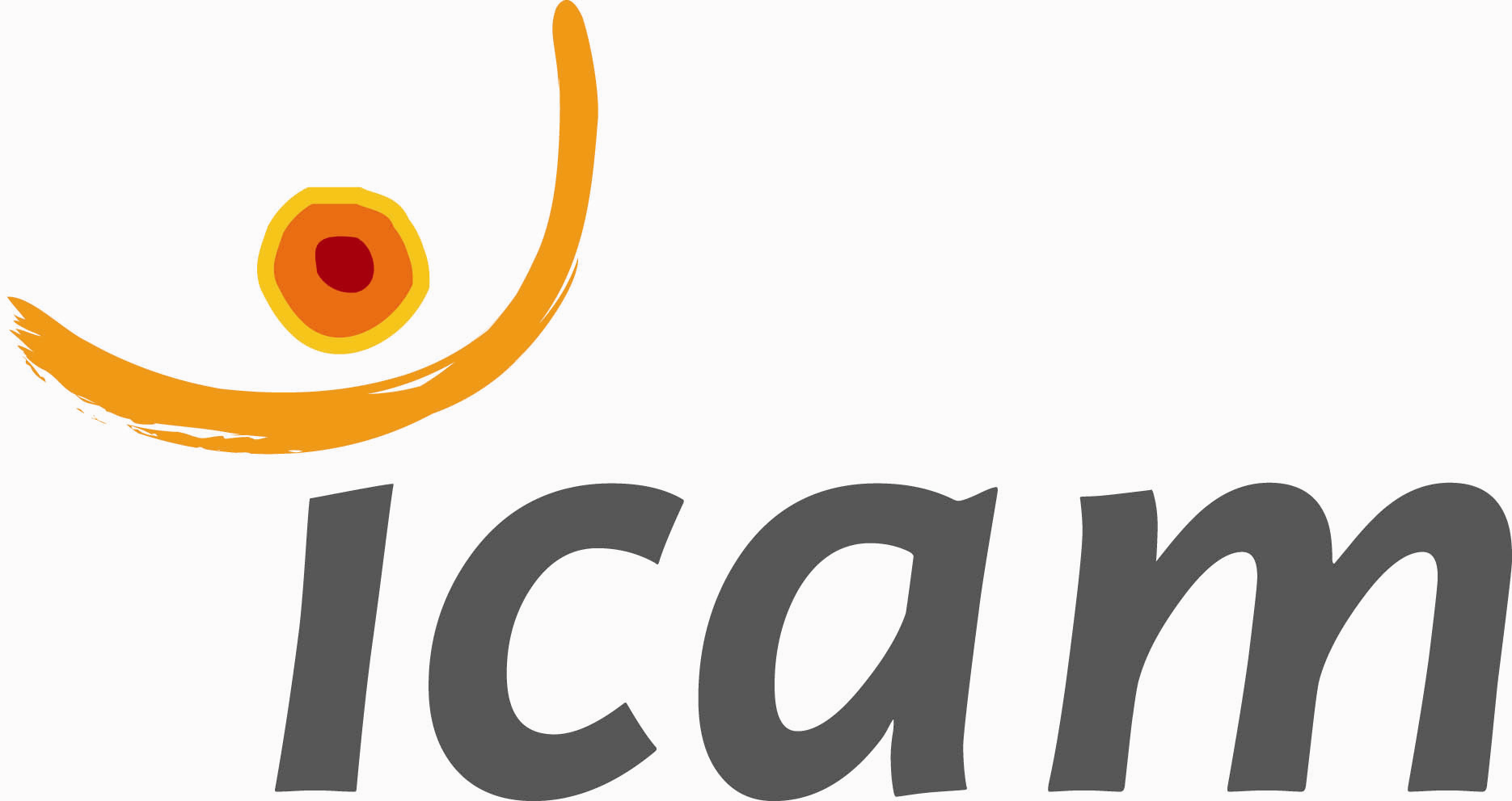 Icam – Formations Lean et Excellence...