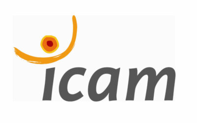 Icam – Formations Lean et Excellence Opérationnelle 5.0